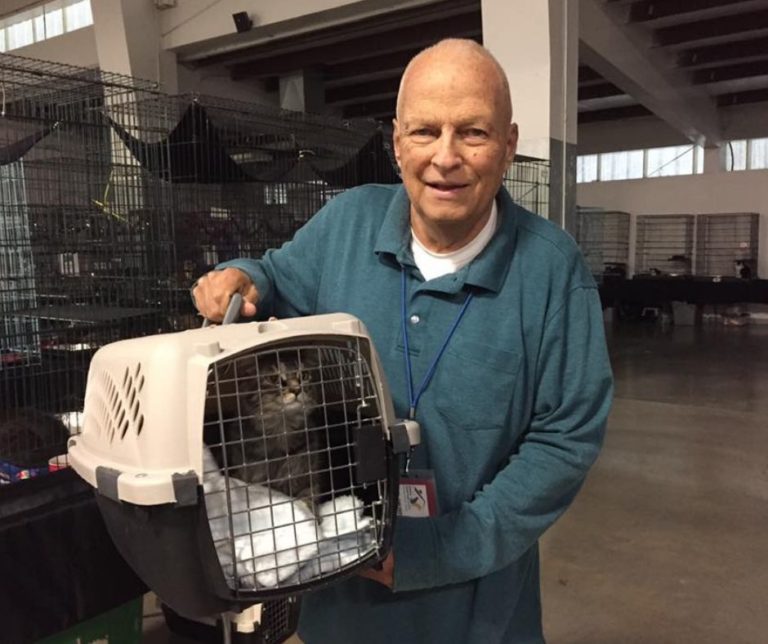 get-involved-utah-animal-adoption-center-salt-lake-city