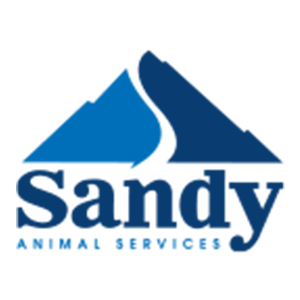 sandy